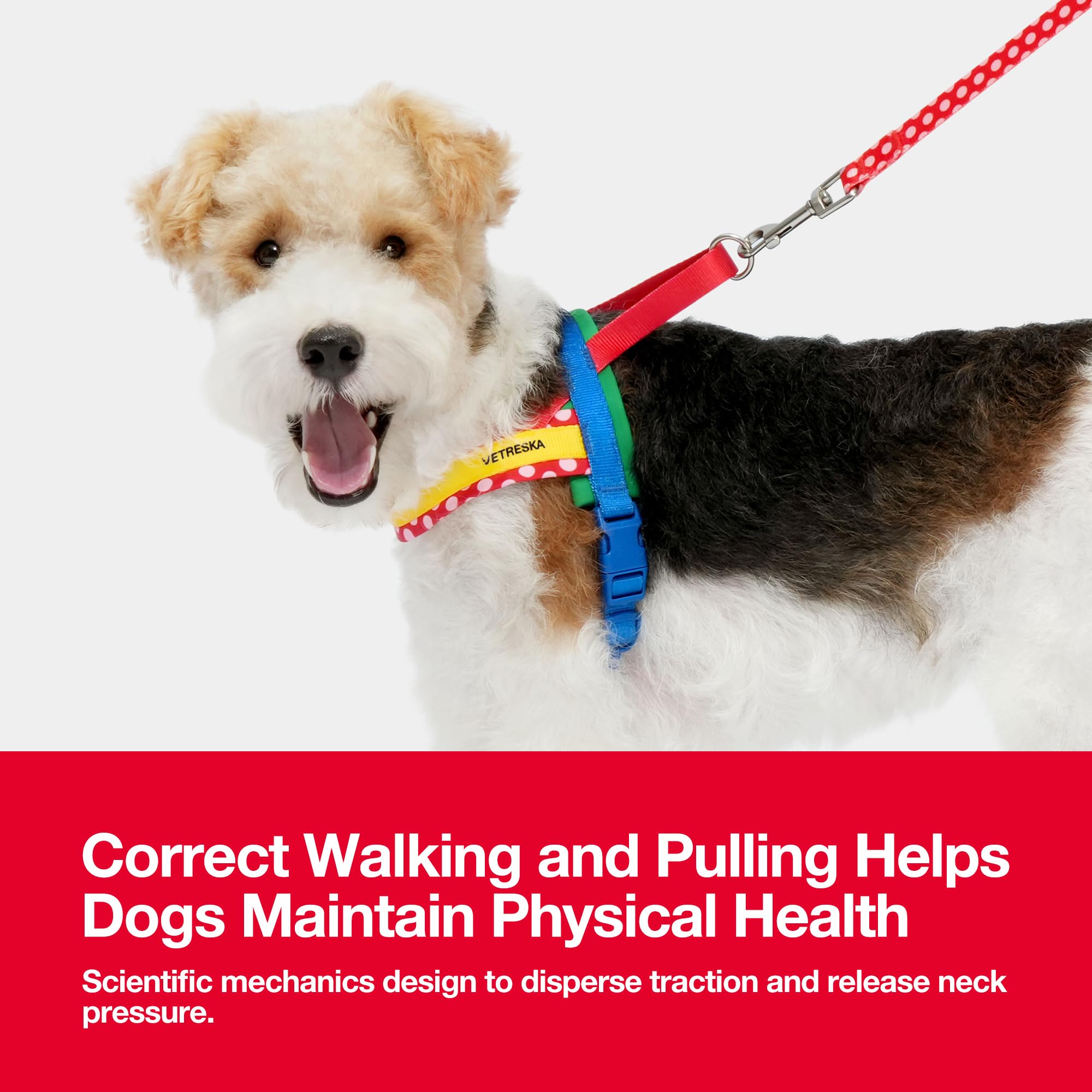 Vetreska Moma Dog Harness And Leash Set, No-Pull Puppy Harness For Walking And Training, Easy Walk Dog Harness For Small Medium